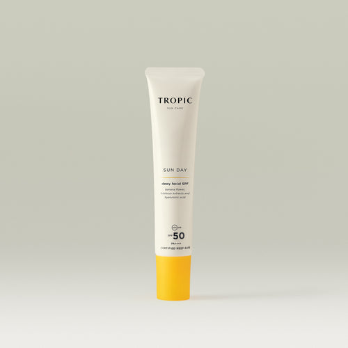 Sun Day Dewy Facial SPF